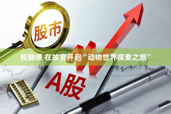 股融通 在故宫开启“动物世界探索之旅”