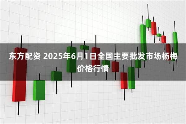 东方配资 2025年6月1日全国主要批发市场杨梅价格行情