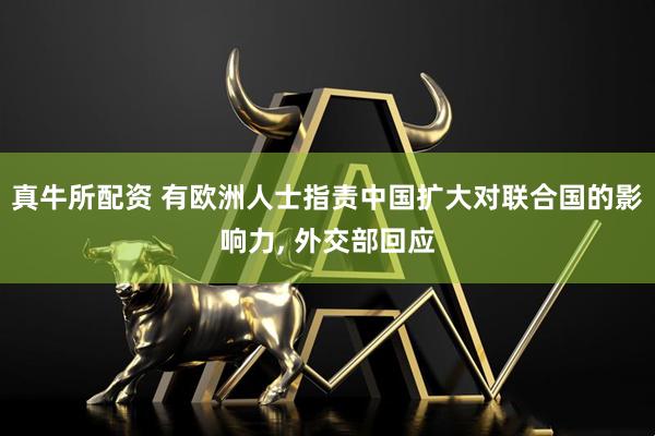 真牛所配资 有欧洲人士指责中国扩大对联合国的影响力, 外交部回应