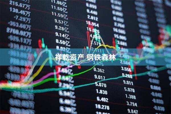 祥乾资产 钢铁森林