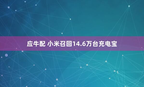 应牛配 小米召回14.6万台充电宝