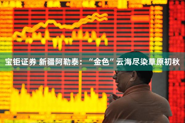 宝钜证券 新疆阿勒泰：“金色”云海尽染草原初秋