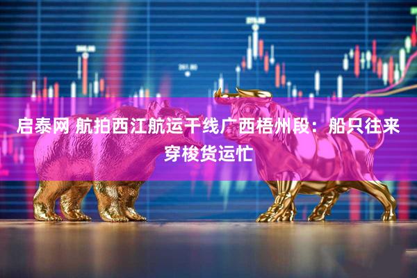 启泰网 航拍西江航运干线广西梧州段：船只往来穿梭货运忙