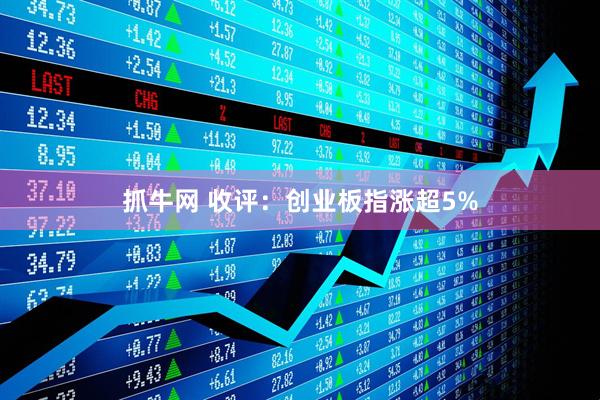 抓牛网 收评：创业板指涨超5%