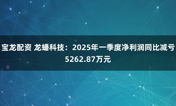 宝龙配资 龙蟠科技：2025年一季度净利润同比减亏5262.87万元