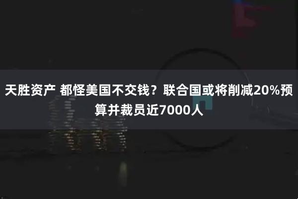 天胜资产 都怪美国不交钱？联合国或将削减20%预算并裁员近7000人